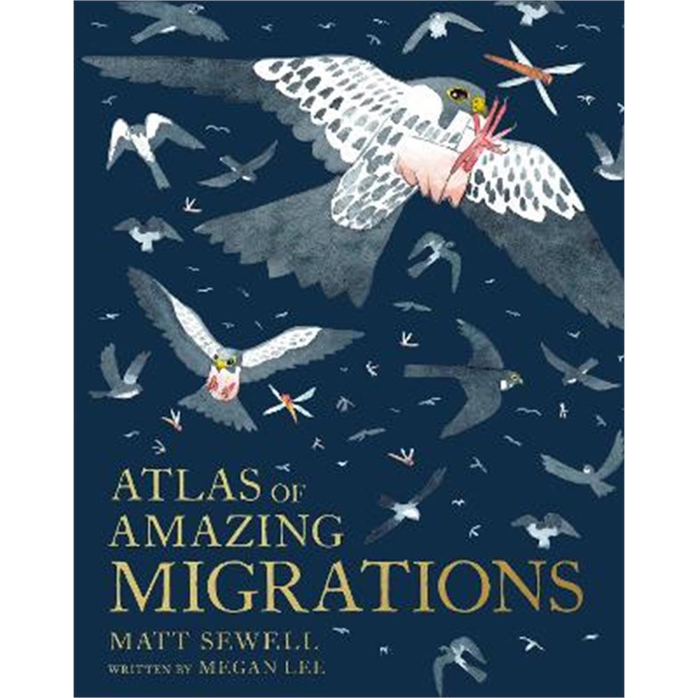 Atlas of Amazing Migration (Hardback) - Matt Sewell